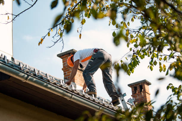 Best Commercial Roofing Services  in Staunton, IL