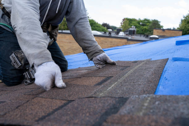 Best Shingle Roofing Installation  in Staunton, IL