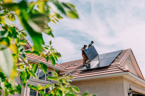 Best Roof Gutter Cleaning  in Staunton, IL