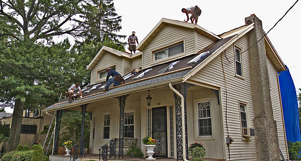 Best Metal Roofing Contractor  in Staunton, IL