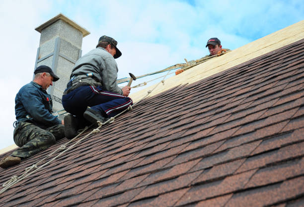 Best Local Roofing Companies  in Staunton, IL